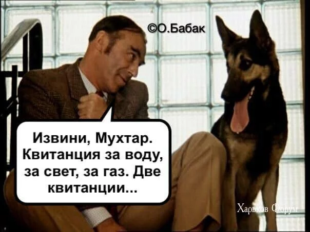 eb3186c253117e19f6b94ef6.webp