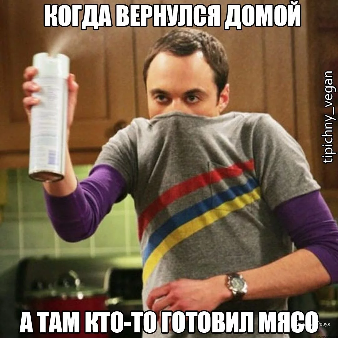 eb36d4dd46137a30eb11cf7.webp