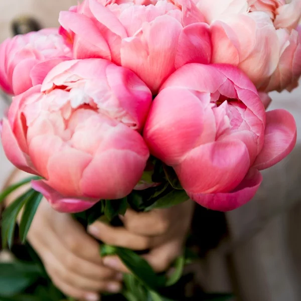 eb6ehd.webp