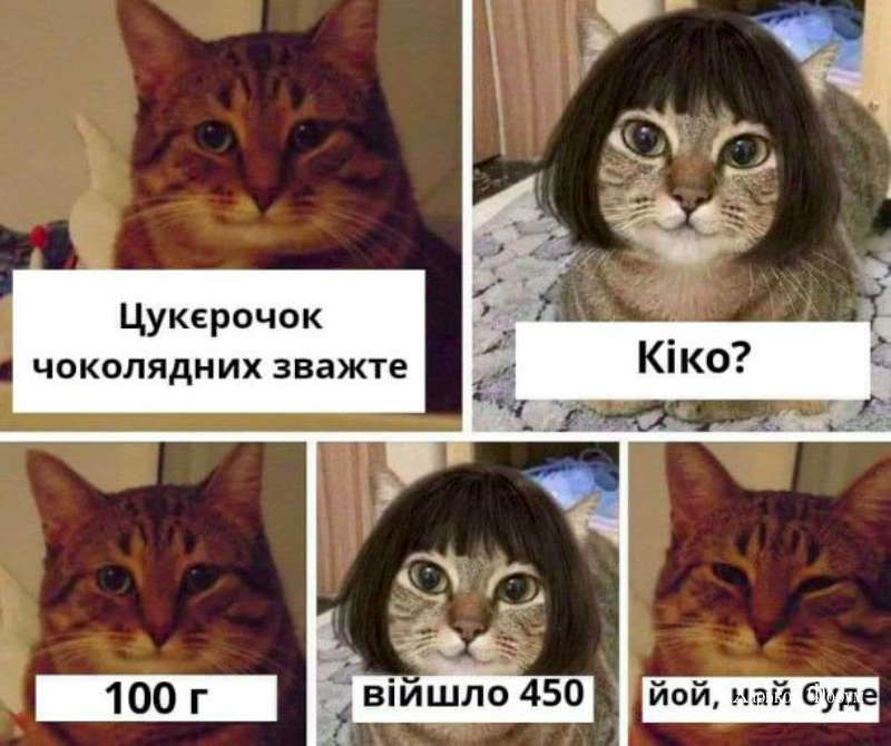 eb86fb2655f2404a.png