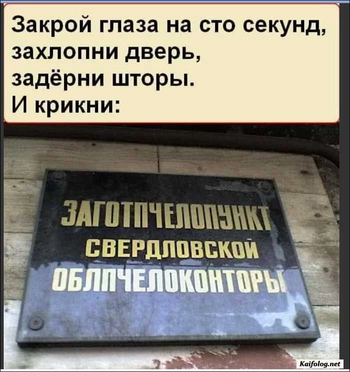 ebb3e6255170a2b279d3d61bb6fb8a735091f530.webp
