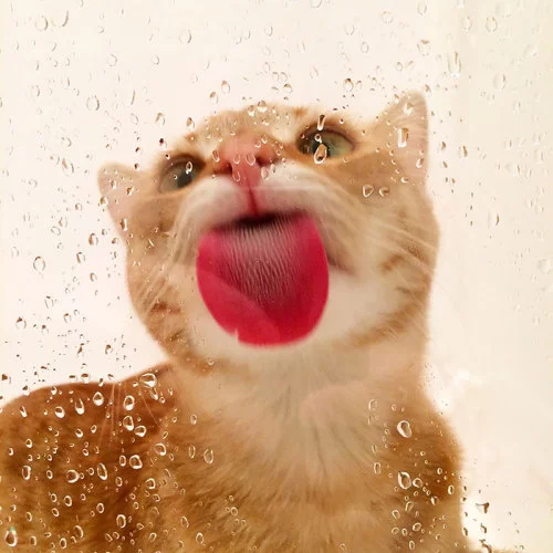 ebbd0j.webp
