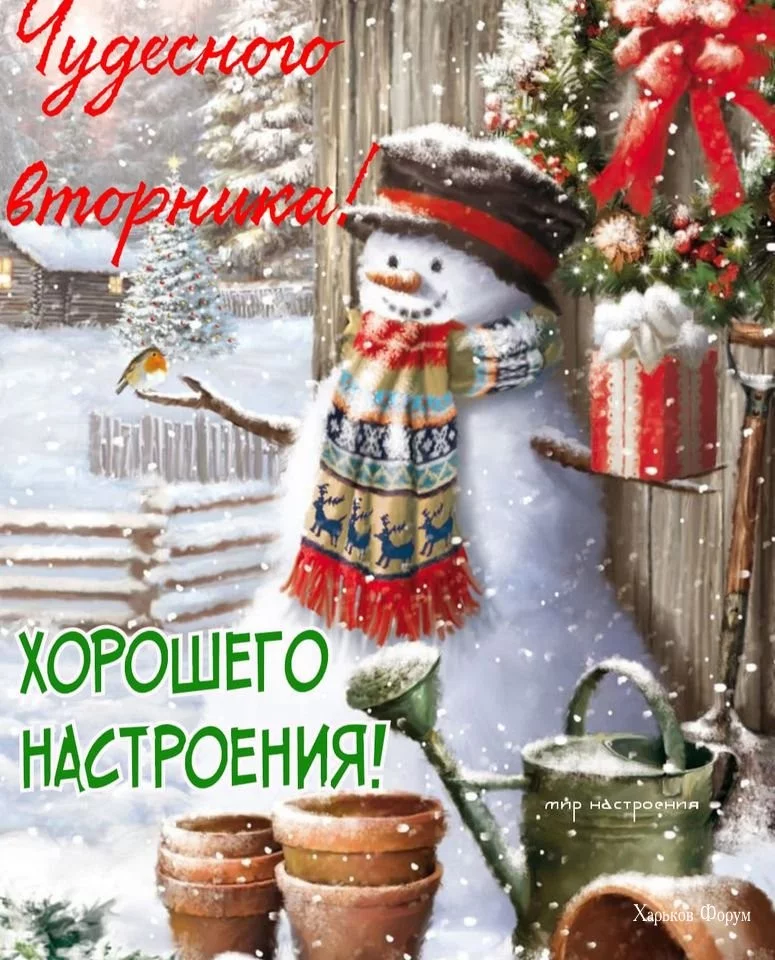 ebd1d98e0f4305592bc5.webp