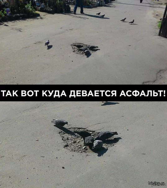 ebdbh3.webp