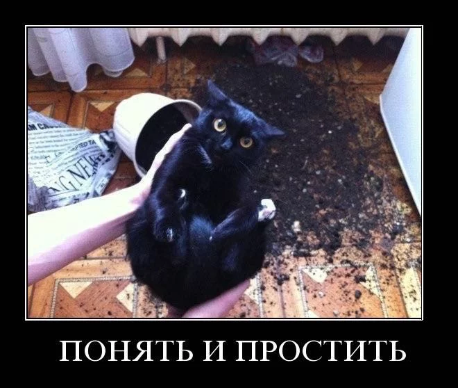 ebdjg3.webp
