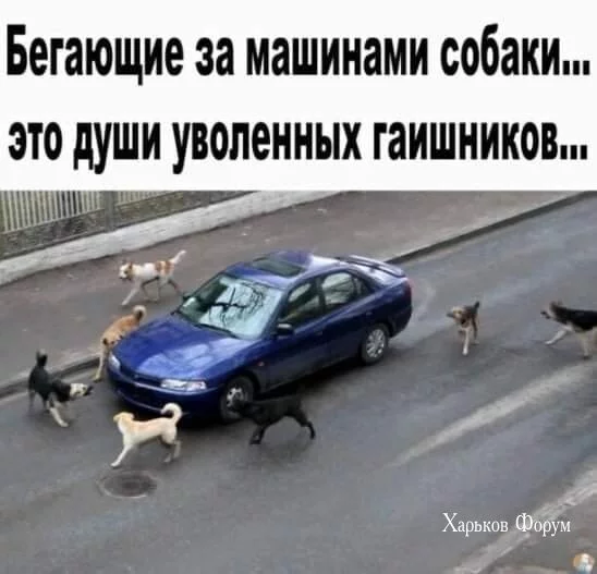 ebe11964448d6526ecf2ac.webp
