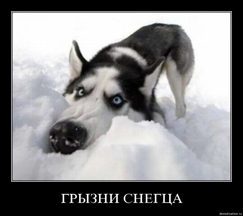 ebe9hf.webp