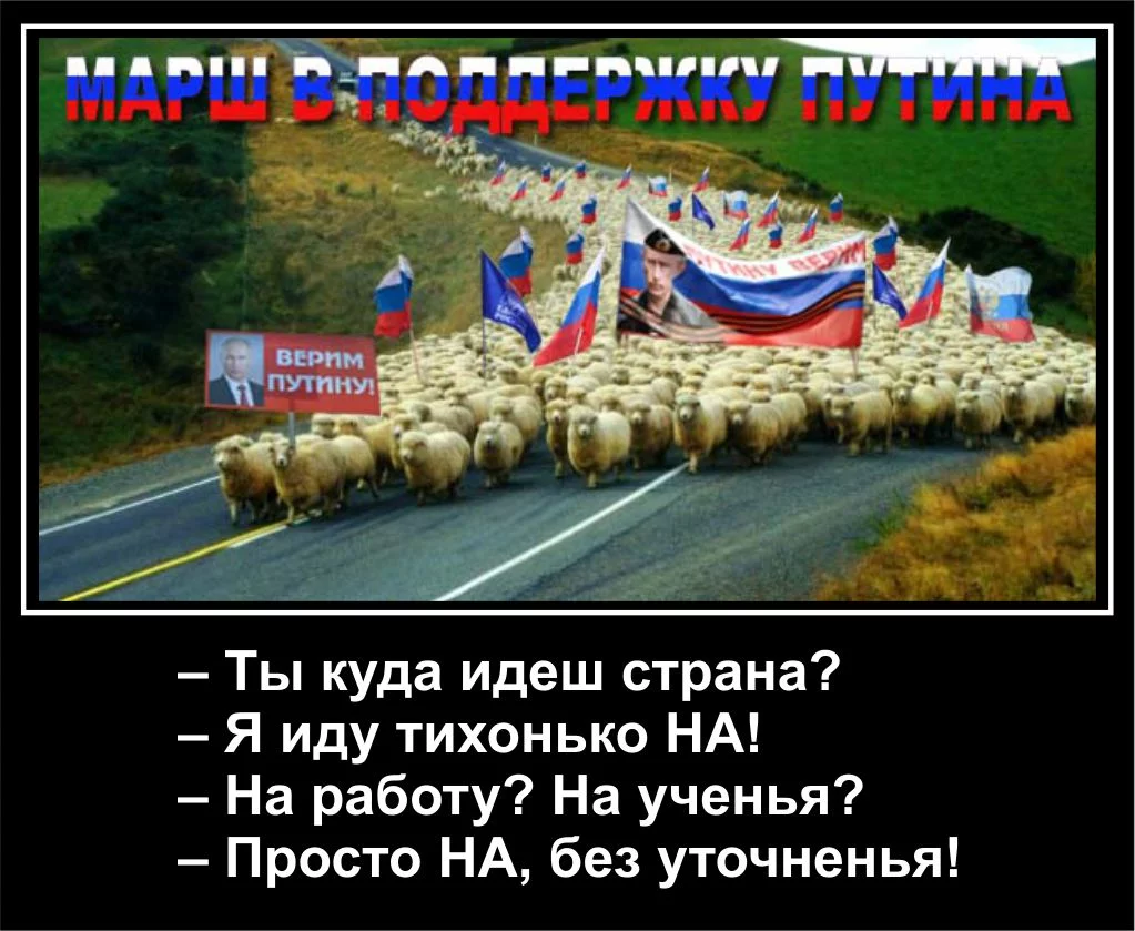 ebf3bd.webp