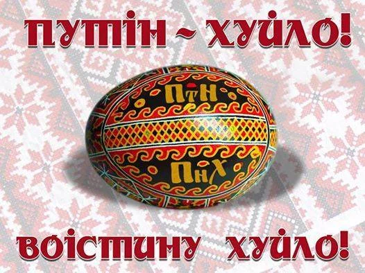 ebfb5g.webp