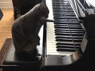 ebfhe2.gif