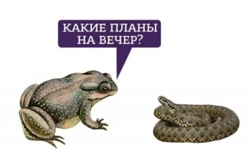 ebg6jf.webp