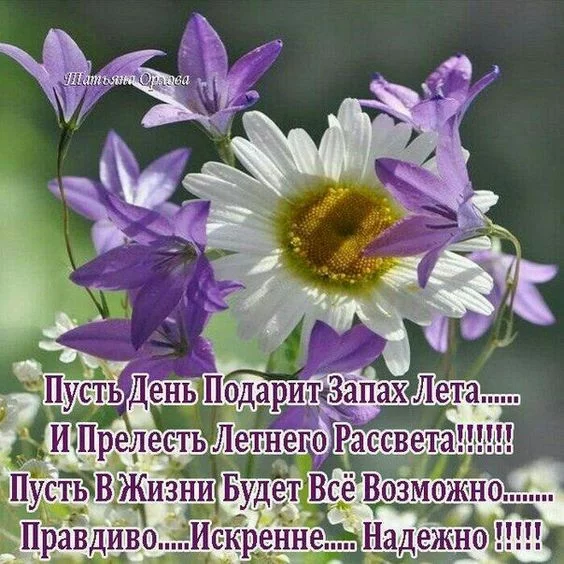 ebgg4d.webp