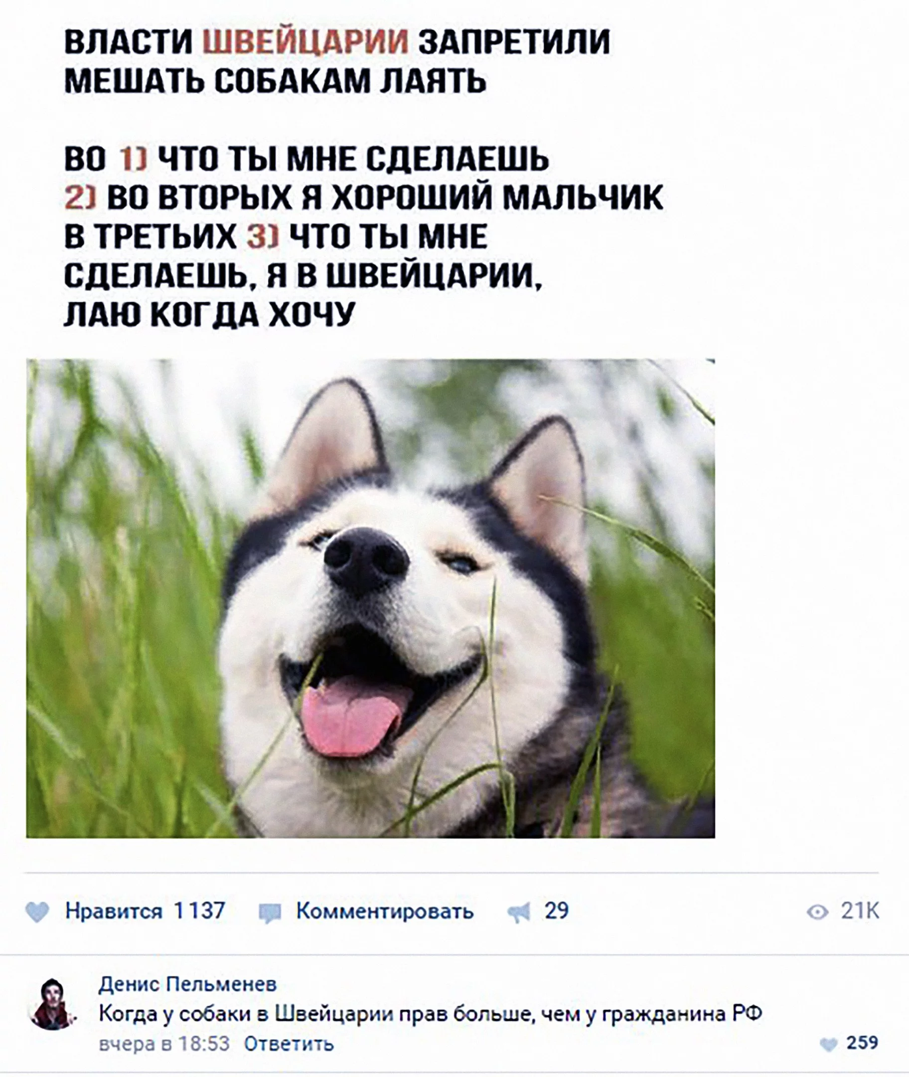 ebgj3b.webp