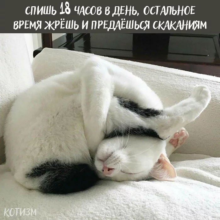 ebgjd7.webp
