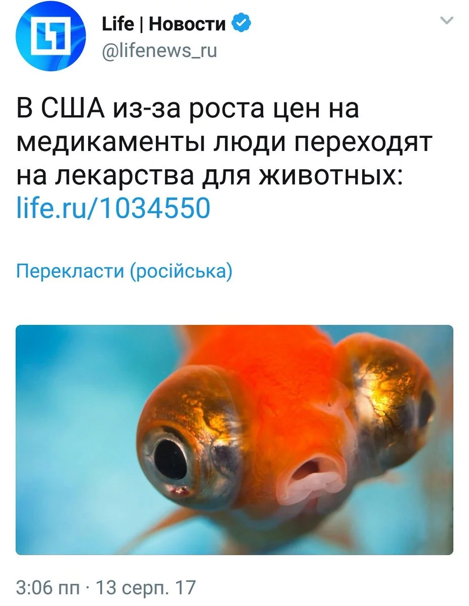 ebhab9.webp