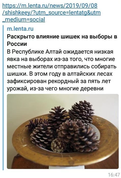 ebhhg1.webp