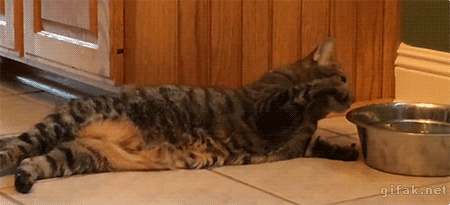 ec0717cf8512cec2db1519.gif
