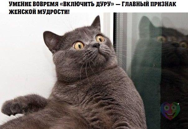 ec0aa9af9f593223d91b731da2b56f2f.jpg