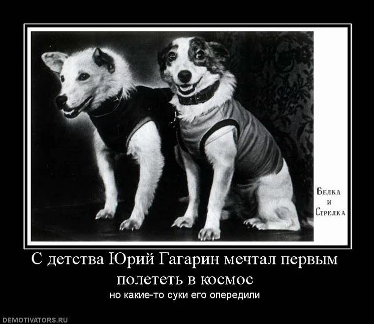 ec3bda.webp