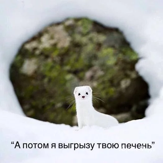 ec3c98f5012c039b840.webp