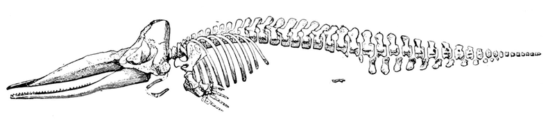 ec3ccd9aa715d576405bfefb5b520bf4.png
