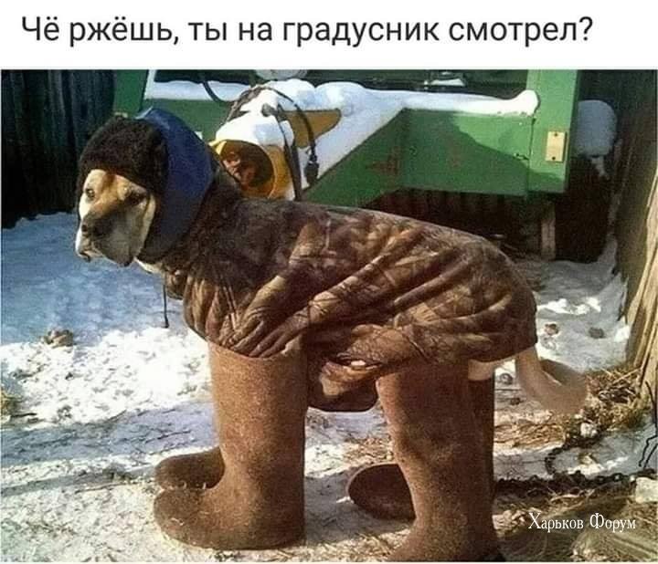 ec4edafaa7d9e8f5a.jpg