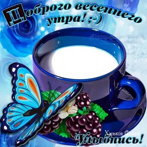ec5a8ac370256f8c2.webp