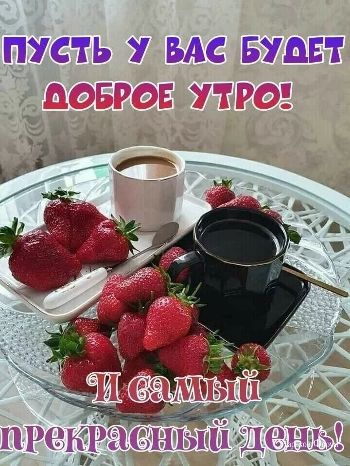 ec5b939c95b52f662b.webp