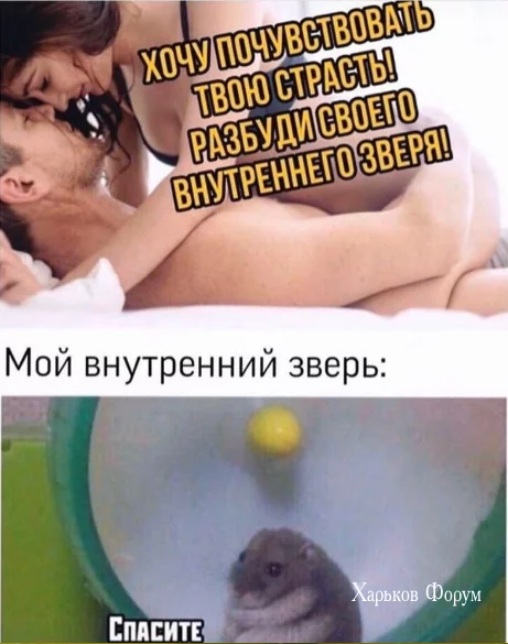 ec5c6a049f940f6435b7e.webp