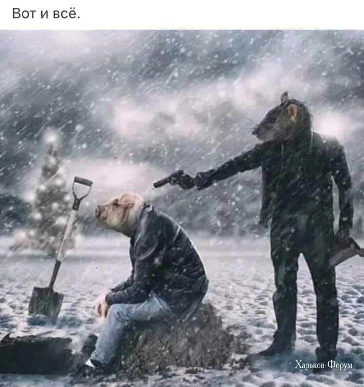 ec5c81a36d697b0f9d65.webp