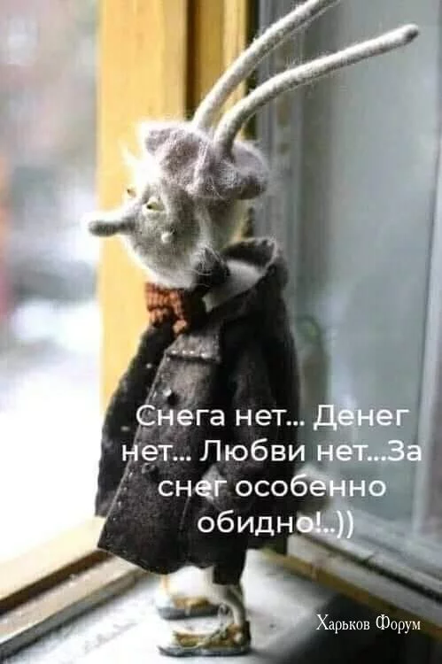 ec680e30e3da2e283.webp