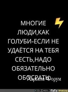 ec81c06b3b5fc521ae69555b.webp
