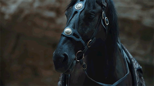ec86ed7aa18b0d567f8b3859afb58bf1b0a43834.gif