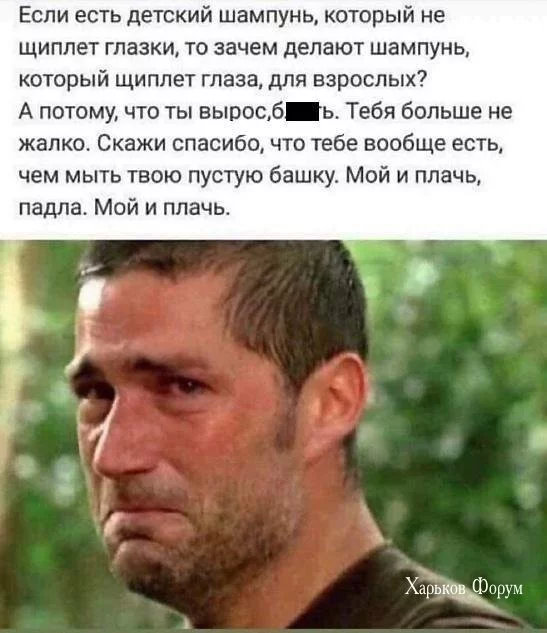 ec86ee68b1c9ff8ec480435d.webp