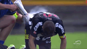 ec8ace.gif