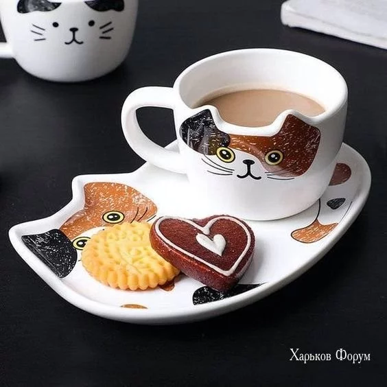 ec8d54dc8503241ca4eb.webp
