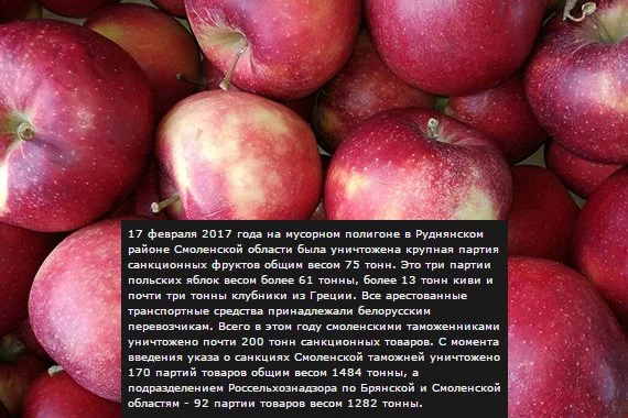 ec8faj.webp