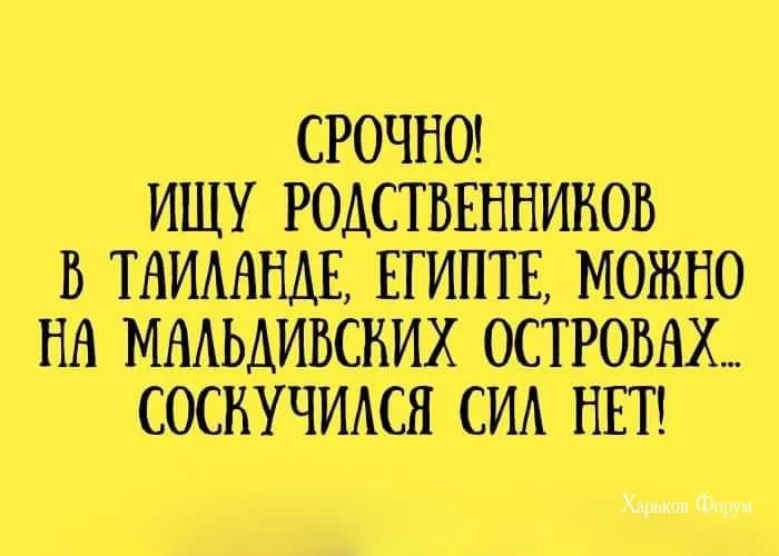 ec942525151fd3da033293.webp