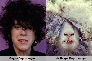ec9eja.webp