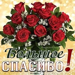 ecaf06f761eef10f0eb.webp