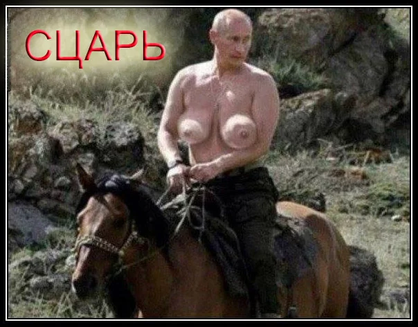 ecag1g.webp