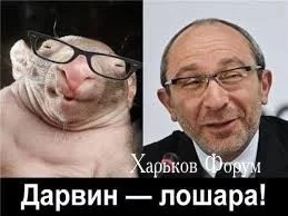 ecbae320ab75d014420057f.webp