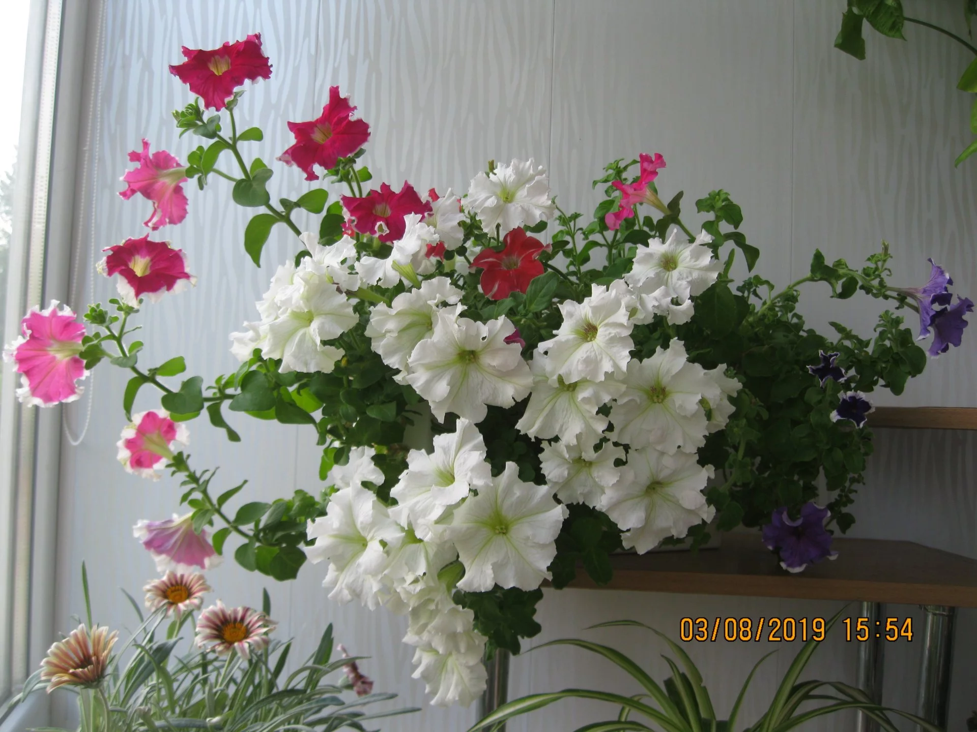 ecbjh6.webp