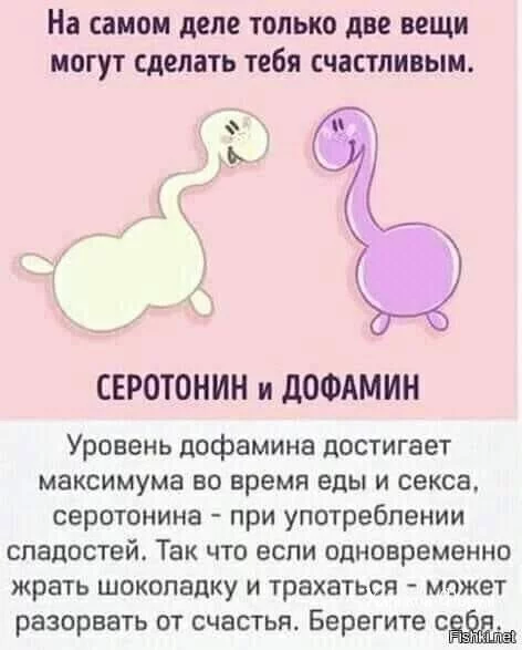 ecc6d4c00ad02255646.webp