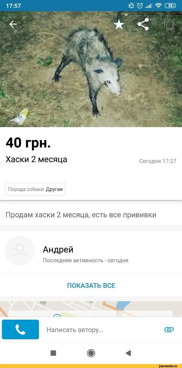 ecd05d8667b9342eb0685606.webp