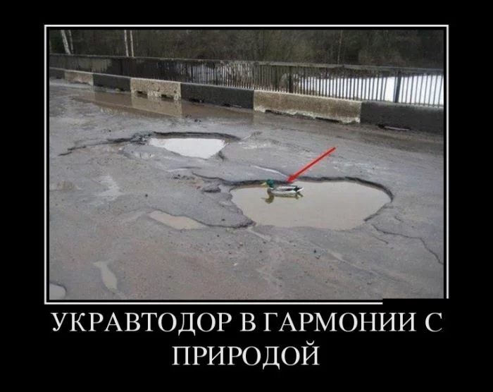 ecdb532ae6073ffe524f25d7192f0039.webp