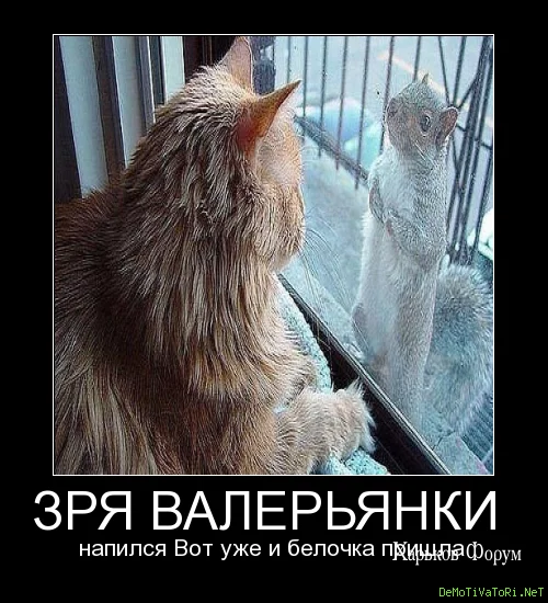 ece388d1b13c0376e3a.webp