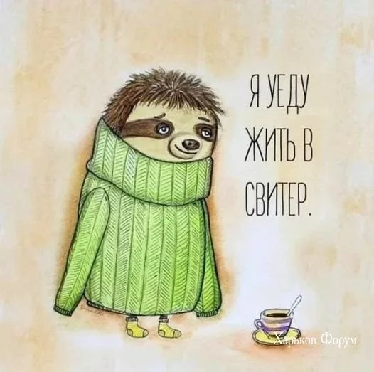 ece3c952f1d498cbf98b9.webp