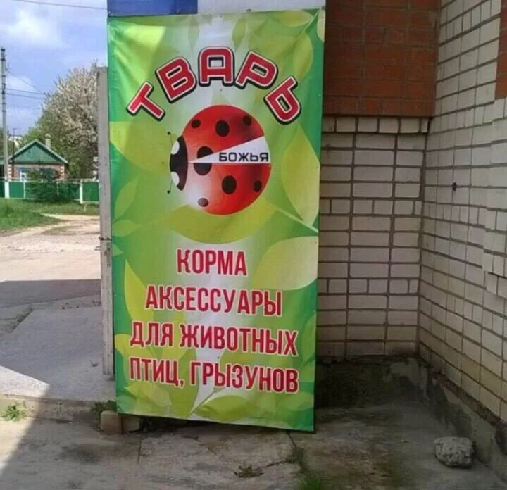 ecead3.jpg