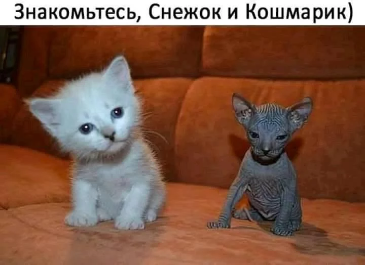 ecegb9.webp